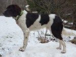 argos9mos-side