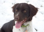 argos9mos