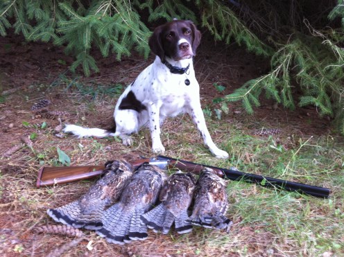 Litha with several grouse